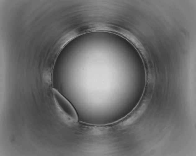 X0000112720905200908201245