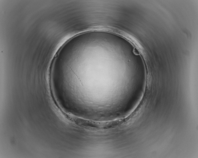 X0000112720907200908201245