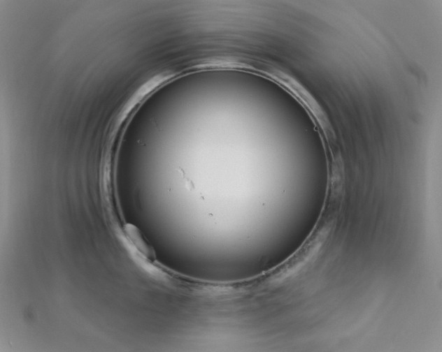 X0000112720909200908201245