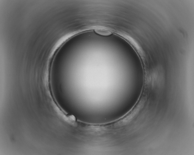 X0000112720910200908201245