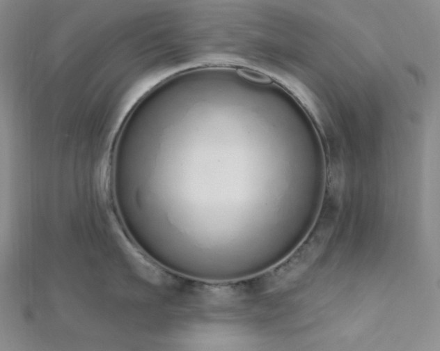 X0000112720911200908201245