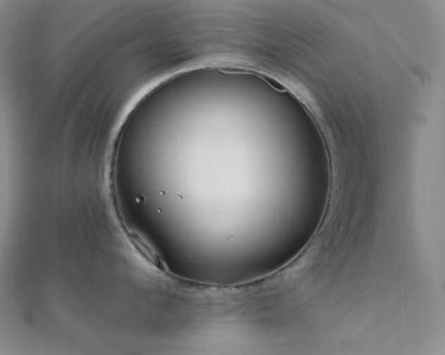 X0000112720912200908201245