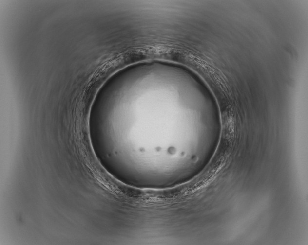 X0000112720913200908201245