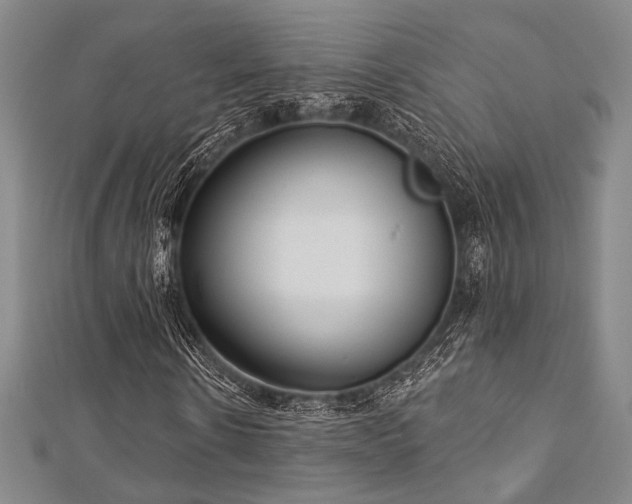 X0000112720914200908201245