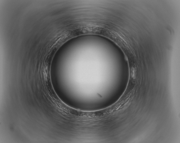 X0000112720915200908201245