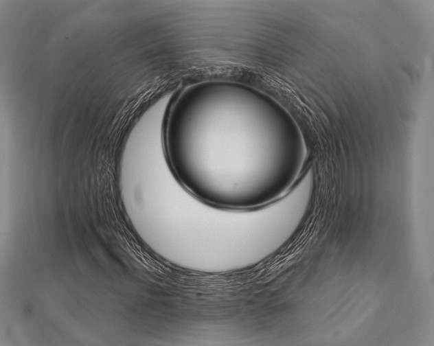 X0000112720916200908201245