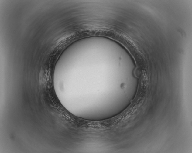 X0000112720918200908201245
