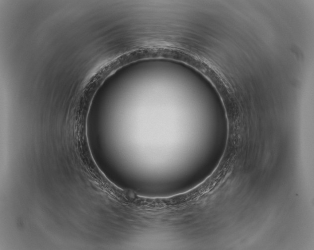 X0000112720919200908201245