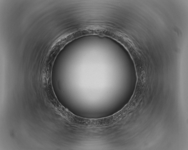 X0000112720920200908201245