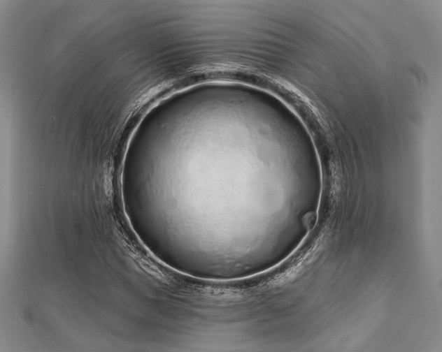 X0000112720921200908201245