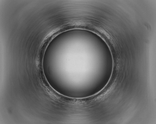X0000112720922200908201245
