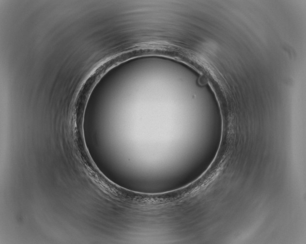 X0000112720923200908201245