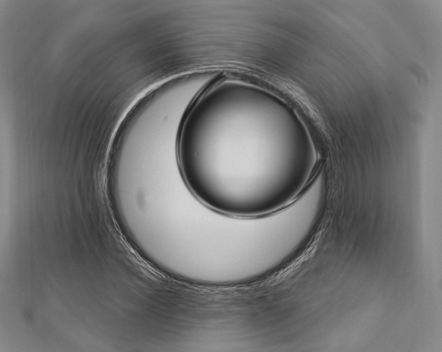 X0000112720924200908201245