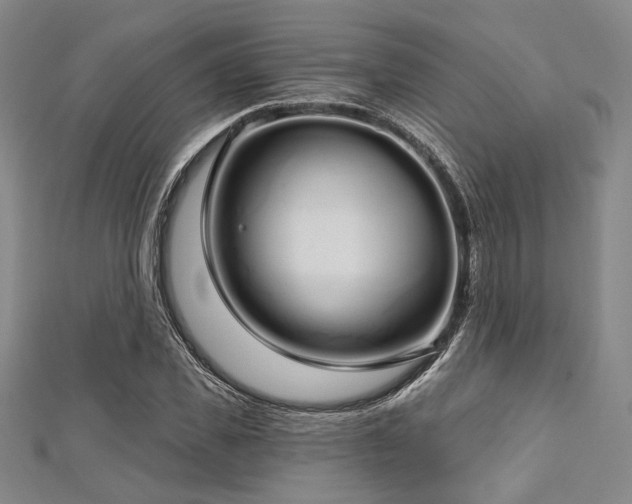 X0000112720925200908201245