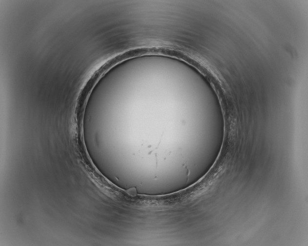 X0000112720927200908201245
