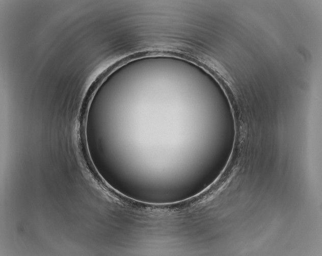X0000112720928200908201245