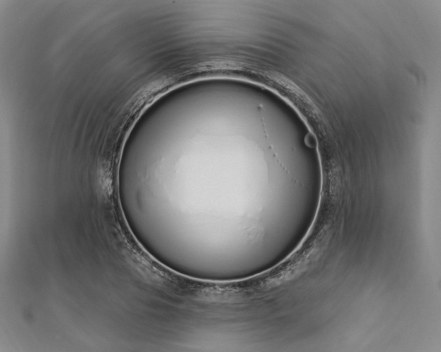 X0000112720929200908201245