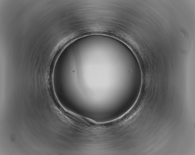 X0000112720930200908201245