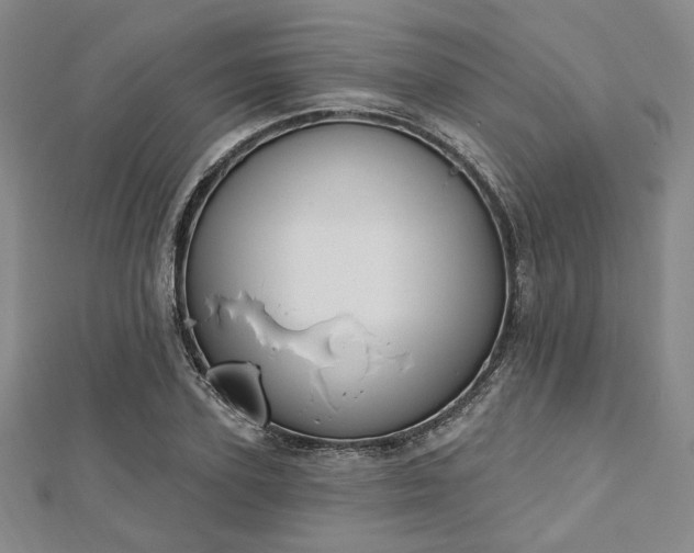 X0000112720931200908201245