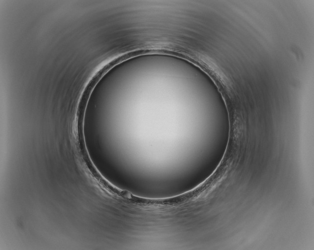 X0000112720932200908201245