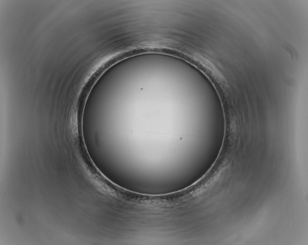 X0000112720934200908201245