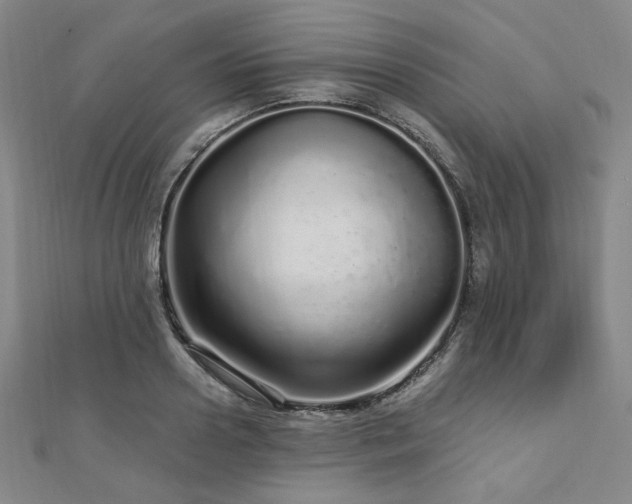X0000112720938200908201245