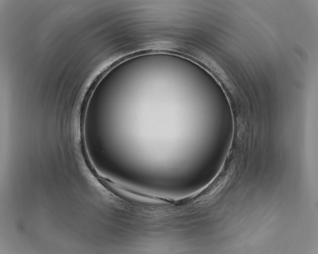 X0000112720939200908201245