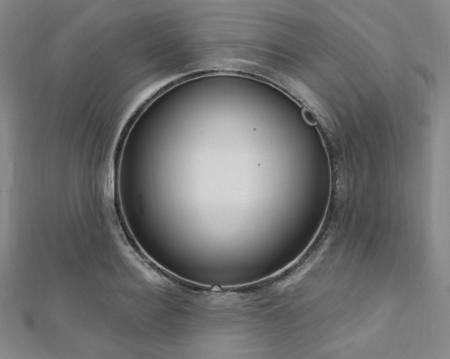 X0000112720940200908201245