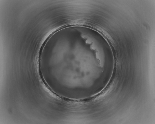 X0000112720941200908201245