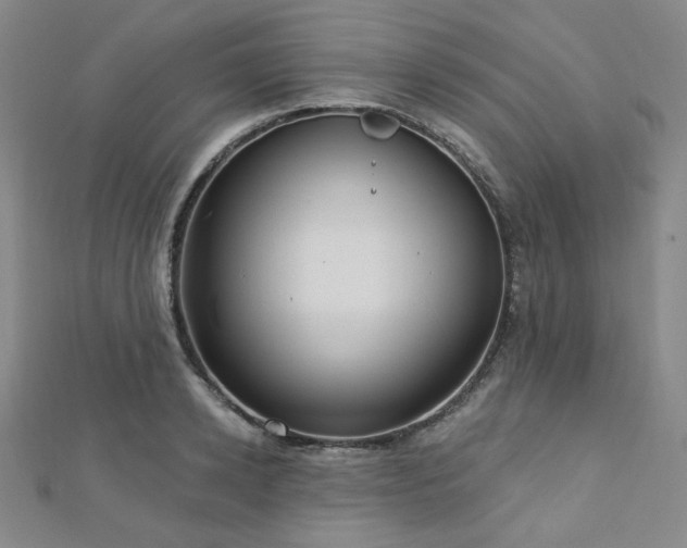 X0000112720942200908201245