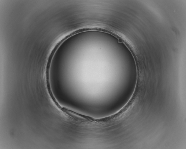 X0000112720943200908201245