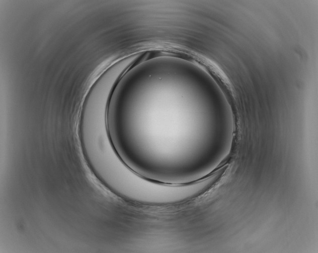 X0000112720946200908201245