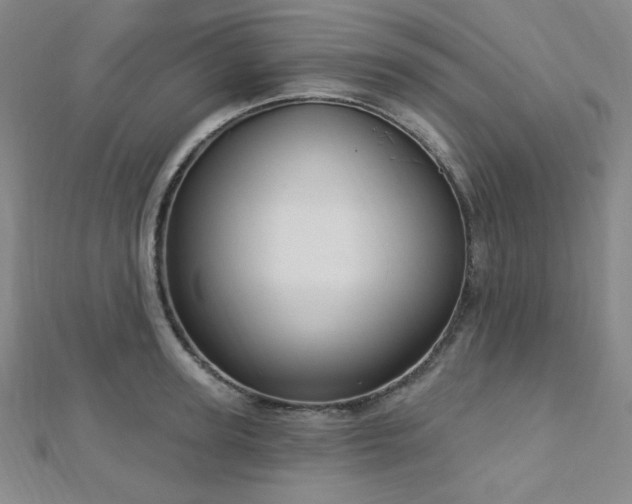 X0000112720947200908201245