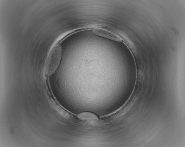 X0000112720948200908201245