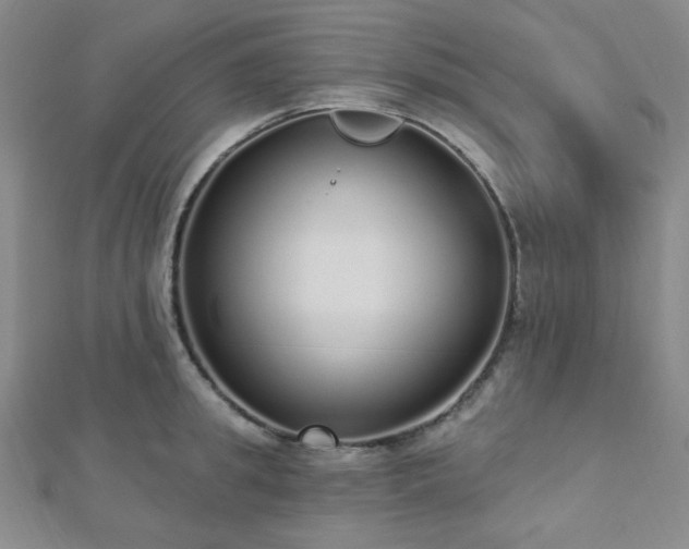 X0000112720949200908201245