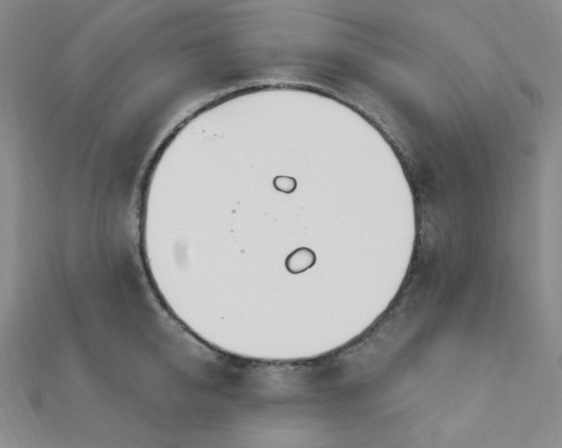 X0000112720950200908201245
