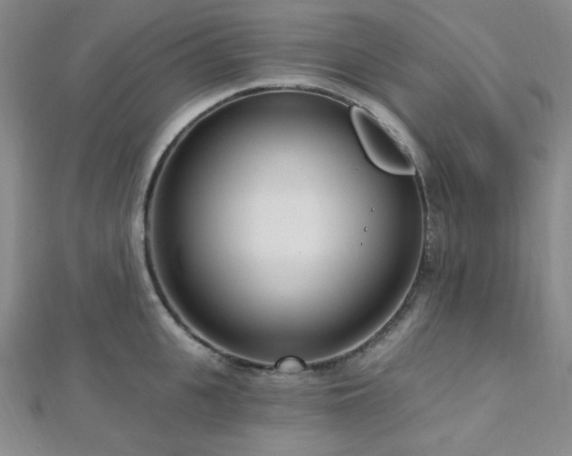 X0000112720951200908201245