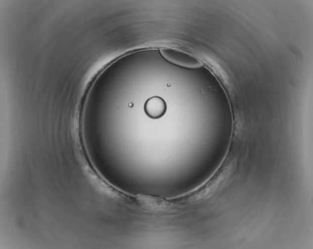 X0000112720952200908201245