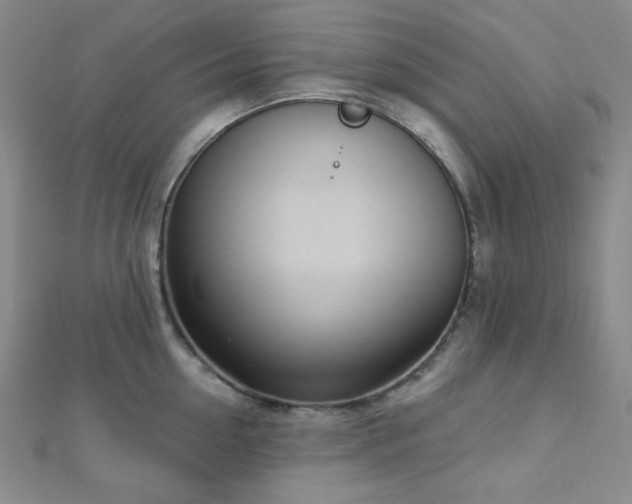 X0000112720954200908201245