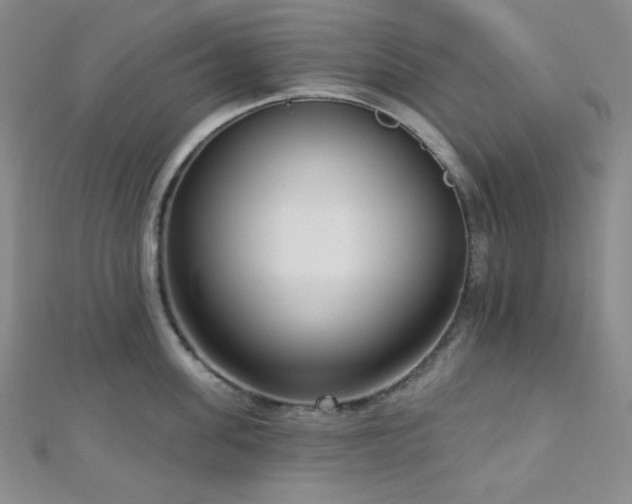 X0000112720955200908201245