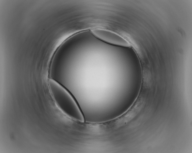 X0000112720956200908201245