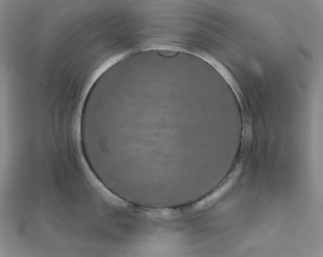 X0000112720957200908201245