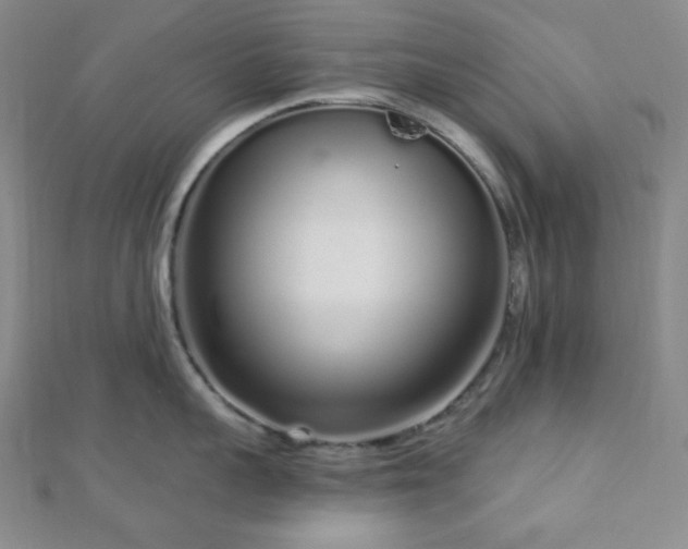 X0000112720959200908201245
