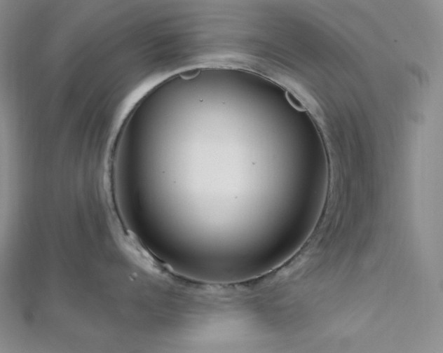 X0000112720960200908201245