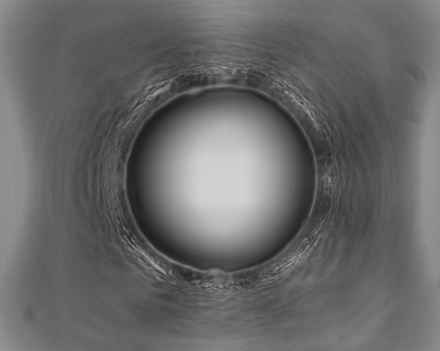 X0000112720961200908201245