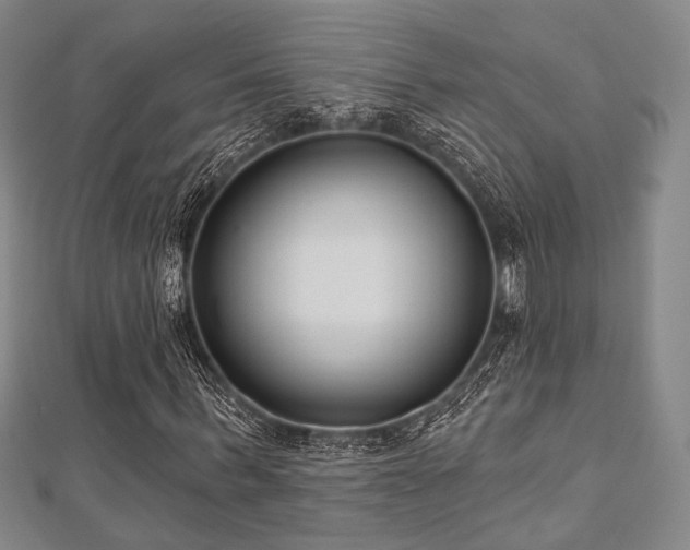X0000112720963200908201245