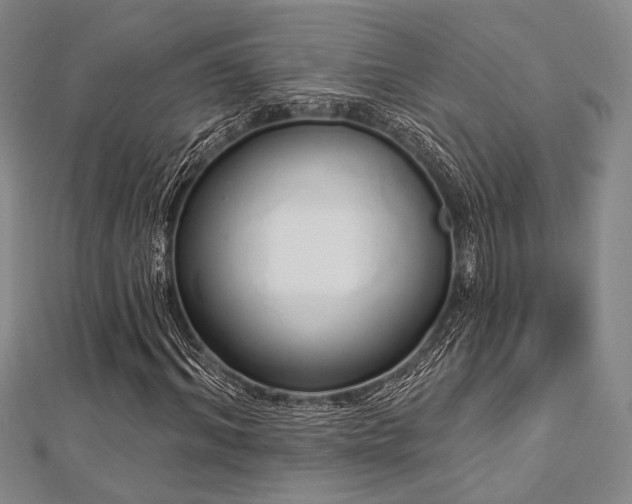 X0000112720964200908201245