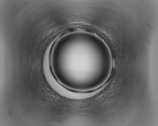 X0000112720965200908201245