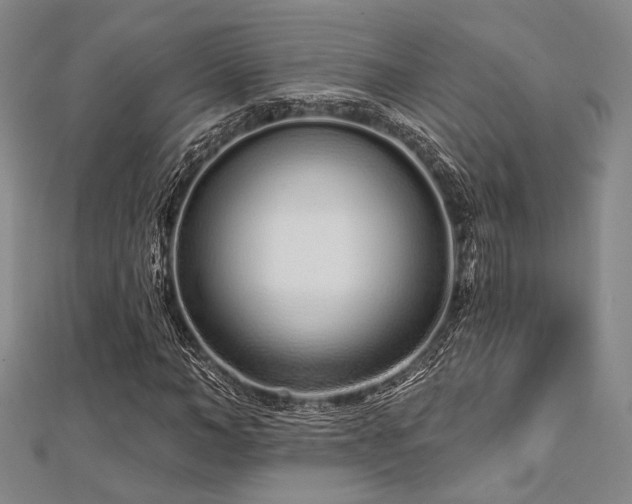 X0000112720966200908201245