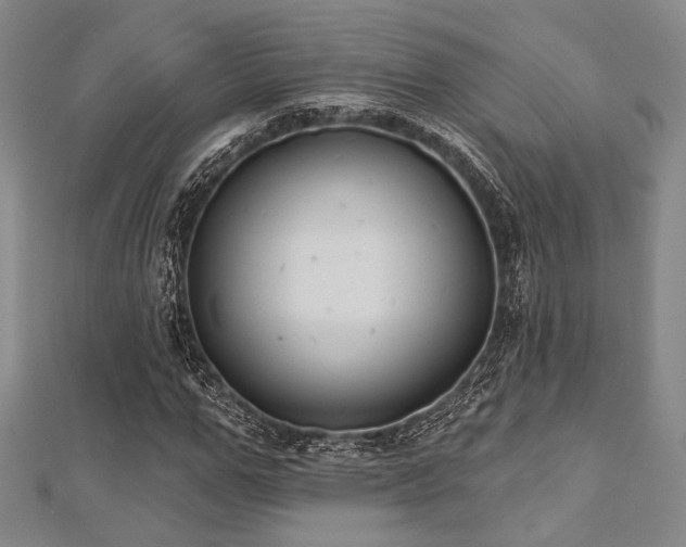 X0000112720967200908201245